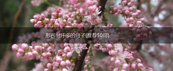形容出汗多的句子(推荐50句),第1张