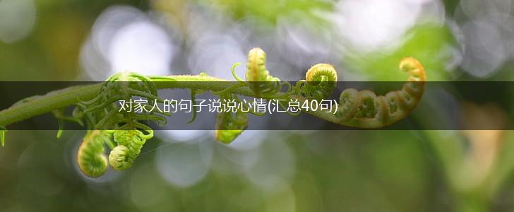 对家人的句子说说心情(汇总40句),第1张