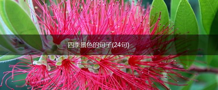 四季景色的句子(24句),第1张