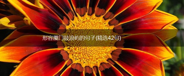 形容厦门鼓浪屿的句子(精选42句),第1张
