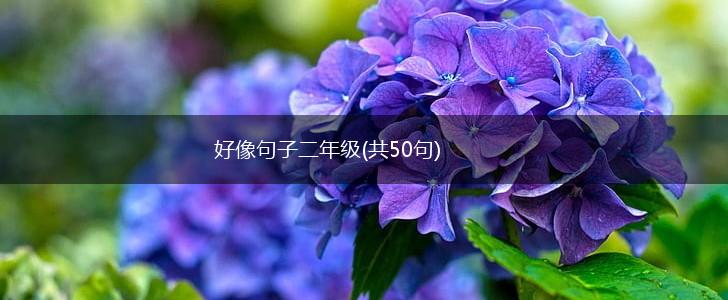 好像句子二年级(共50句),第1张