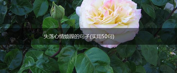 失落心情烦躁的句子(实用50句),第1张