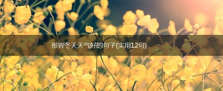 形容冬天天气好的句子(实用12句),第1张