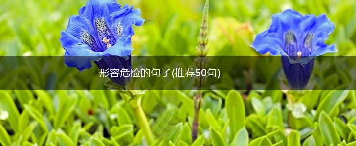 形容危险的句子(推荐50句),第1张