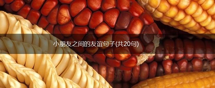 小朋友之间的友谊句子(共20句),第1张