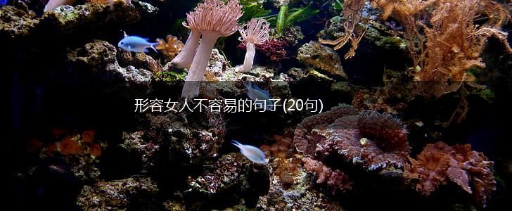 形容女人不容易的句子(20句),第1张