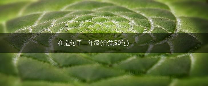 在造句子二年级(合集50句),第1张