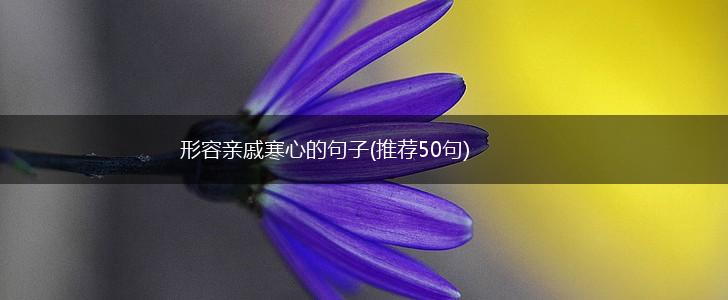 形容亲戚寒心的句子(推荐50句),第1张