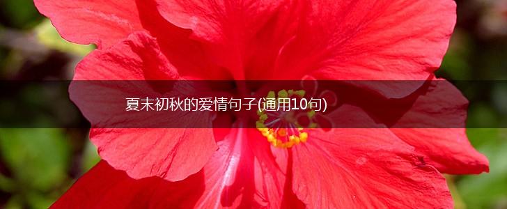 夏末初秋的爱情句子(通用10句),第1张