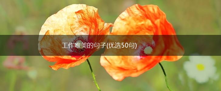 工作唯美的句子(优选50句),第1张