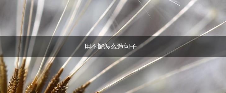 用不懈怎么造句子,第1张