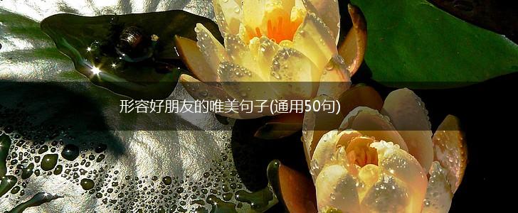 形容好朋友的唯美句子(通用50句),第1张