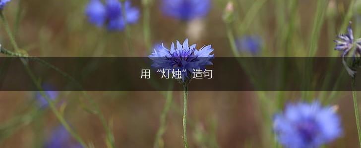 用“灯烛”造句,第1张