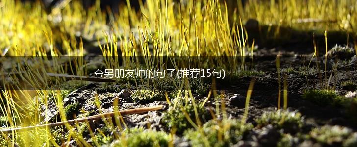 夸男朋友帅的句子(推荐15句),第1张