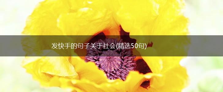 发快手的句子关于社会(精选50句),第1张