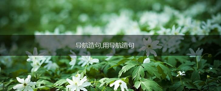 导航造句,用导航造句,第1张