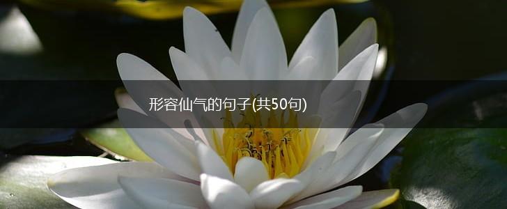 形容仙气的句子(共50句),第1张
