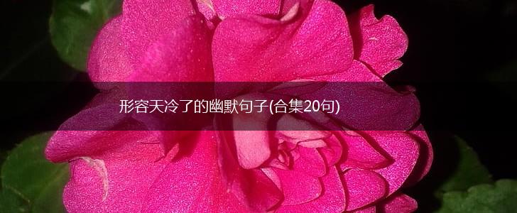 形容天冷了的幽默句子(合集20句),第1张