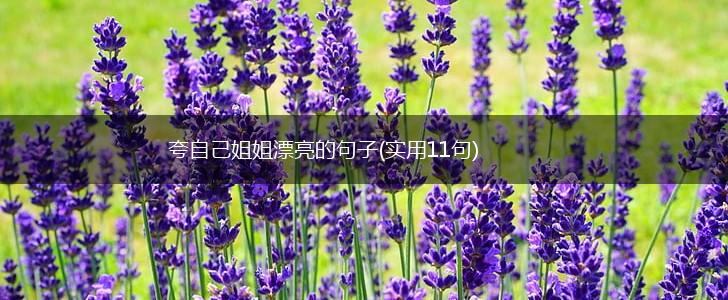 夸自己姐姐漂亮的句子(实用11句),第1张