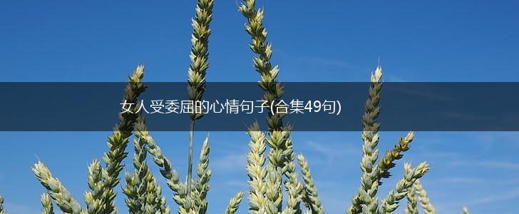 女人受委屈的心情句子(合集49句),第1张