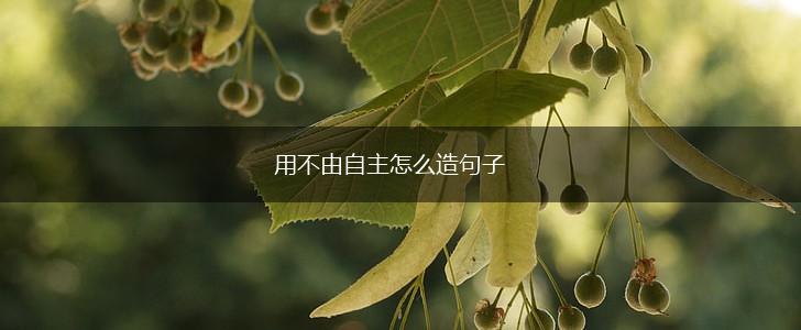 用不由自主怎么造句子,第1张