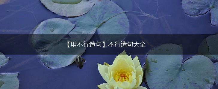 【用不行造句】不行造句大全,第1张