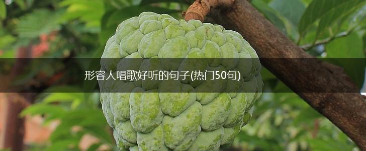 形容人唱歌好听的句子(热门50句),第1张