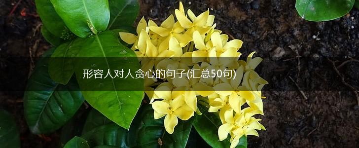 形容人对人贪心的句子(汇总50句),第1张