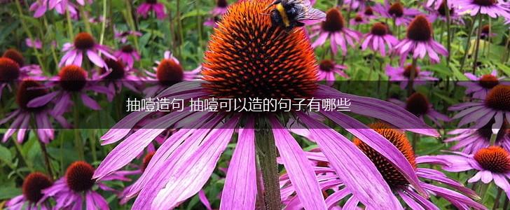 抽噎造句 抽噎可以造的句子有哪些,第1张