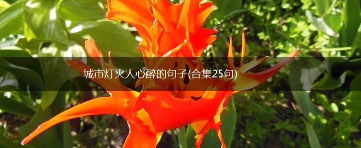 城市灯火人心醉的句子(合集25句),第1张