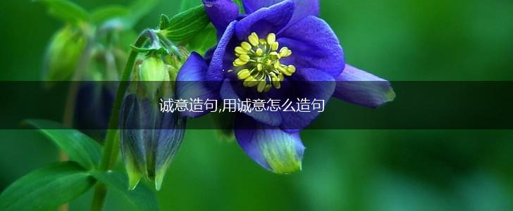 诚意造句,用诚意怎么造句,第1张