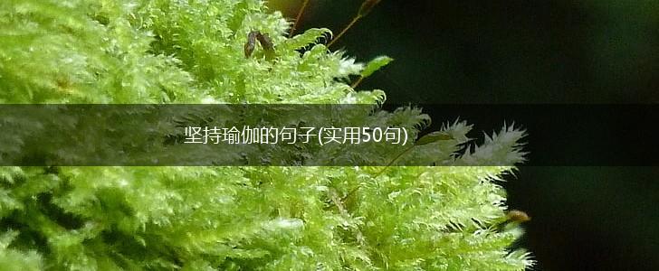 坚持瑜伽的句子(实用50句),第1张