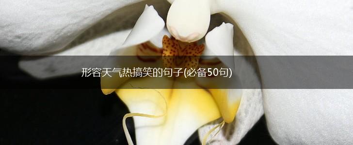 形容天气热搞笑的句子(必备50句),第1张