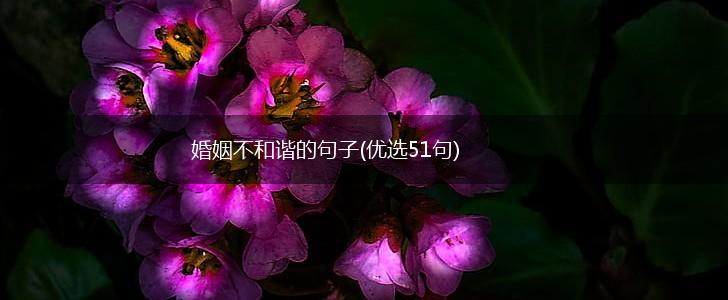 婚姻不和谐的句子(优选51句),第1张