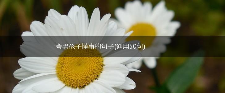 夸男孩子懂事的句子(通用50句),第1张