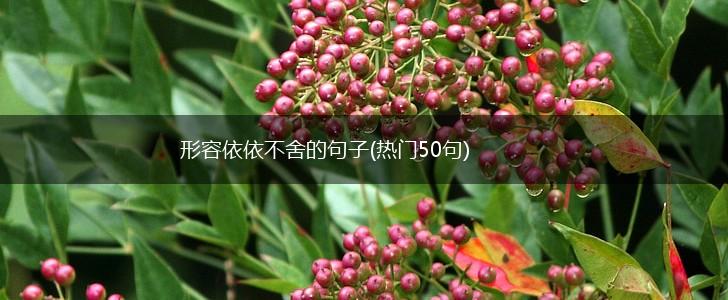 形容依依不舍的句子(热门50句),第1张