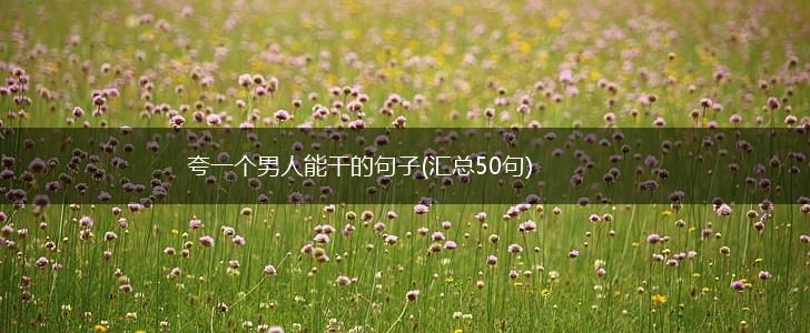 夸一个男人能干的句子(汇总50句),第1张