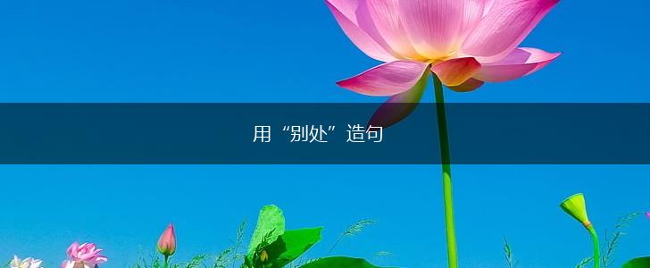 用“别处”造句,第1张