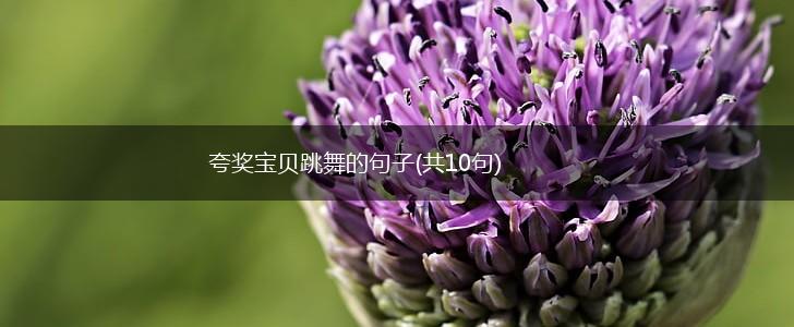 夸奖宝贝跳舞的句子(共10句),第1张