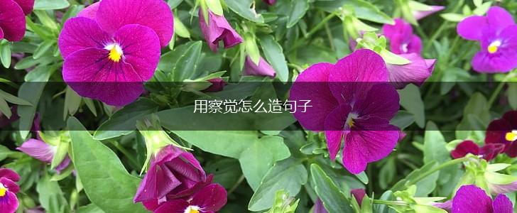 用察觉怎么造句子,第1张