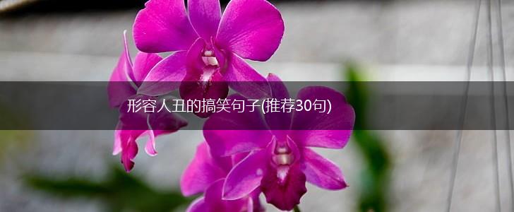 形容人丑的搞笑句子(推荐30句),第1张