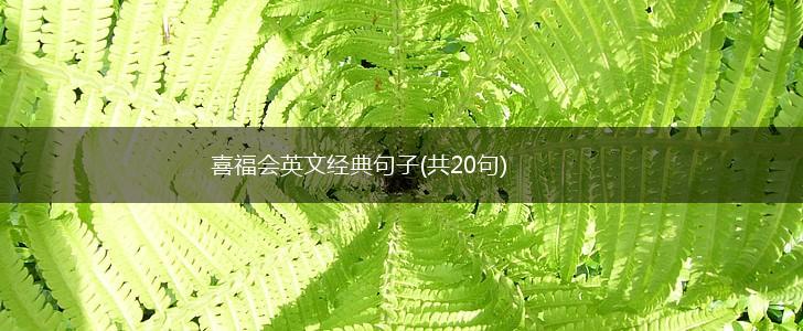 喜福会英文经典句子(共20句),第1张
