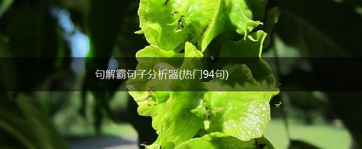 句解霸句子分析器(热门94句),第1张