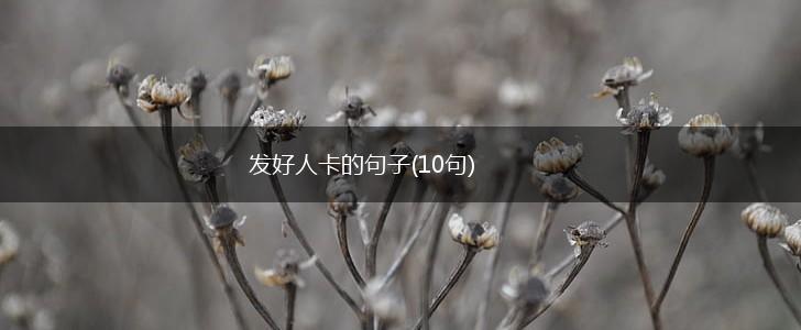发好人卡的句子(10句),第1张