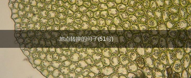 地点转换的句子(51句),第1张