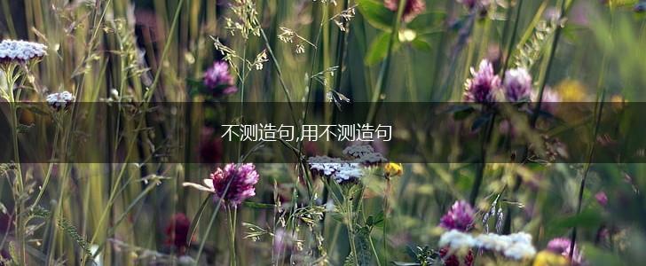 不测造句,用不测造句,第1张
