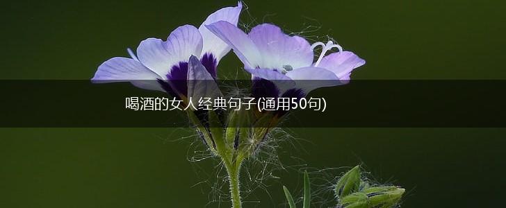 喝酒的女人经典句子(通用50句),第1张