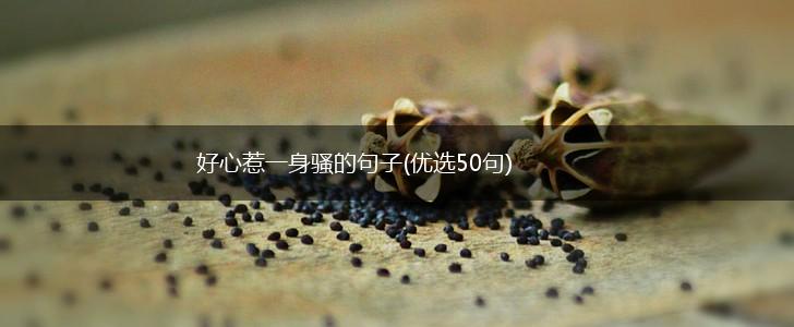 好心惹一身骚的句子(优选50句),第1张