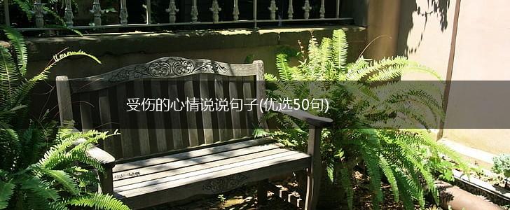 受伤的心情说说句子(优选50句),第1张