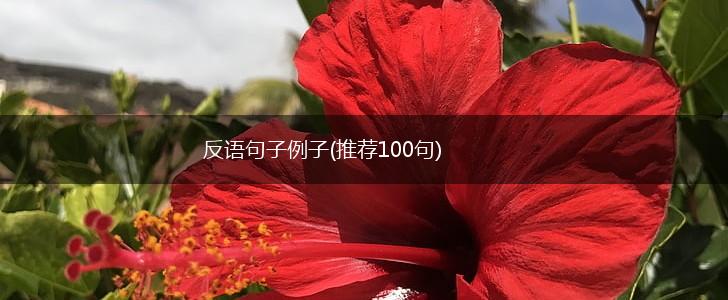 反语句子例子(推荐100句),第1张